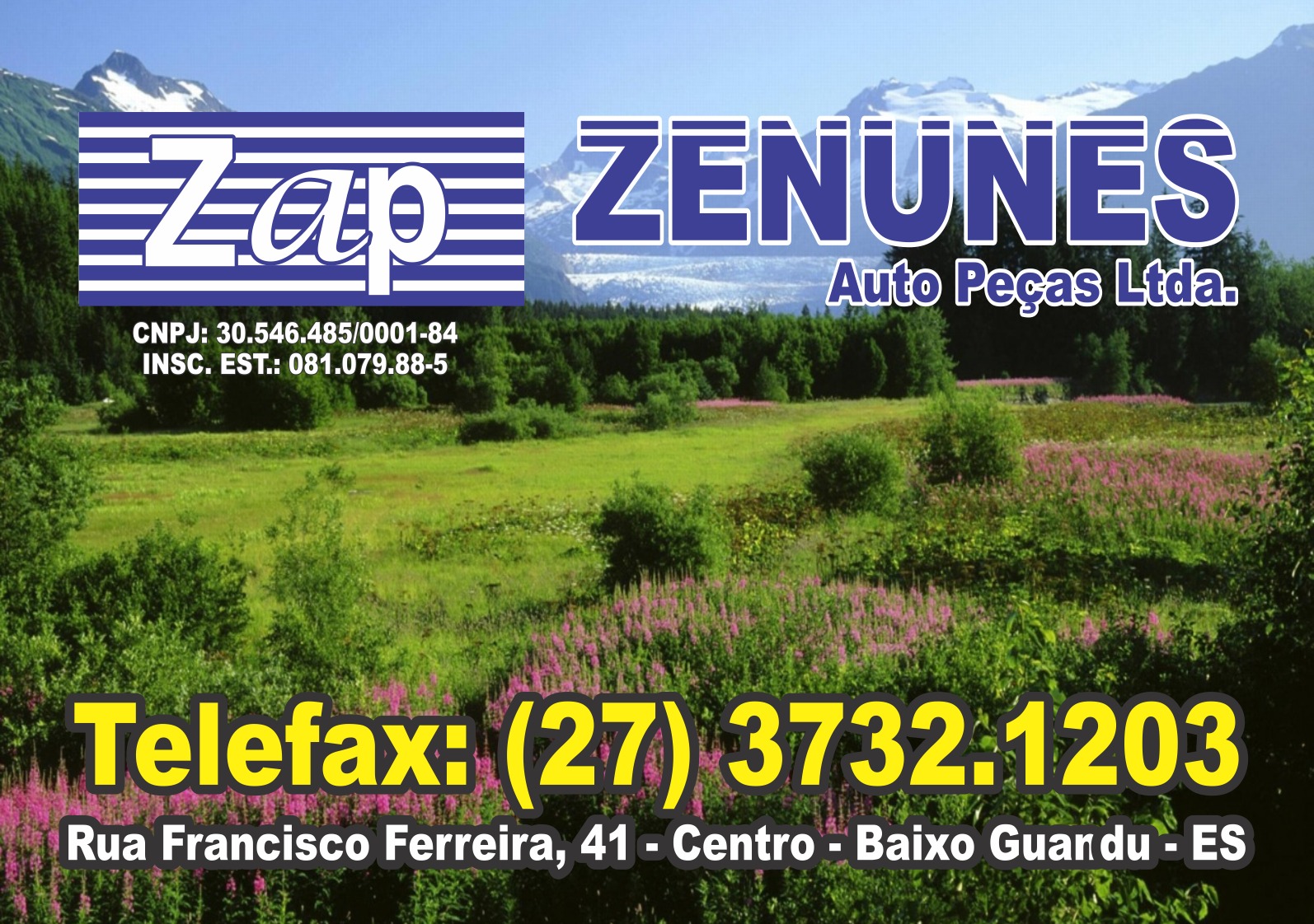 Auto Peças